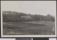 262. 3984 Halden. Fridheims Pensjonat. - no-nb digifoto 20160108 00298 bldsa PK13680.jpg