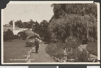 71. 41. Fra Tøienhaven, Christiania - no-nb digifoto 20150126 00277 bldsa PK11410.jpg