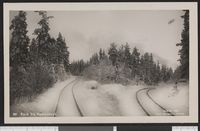 305. 431 Parti fra Aadalsbruk - no-nb digifoto 20150803 00182 bldsa PK28641.jpg