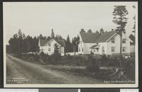 Parti fra Braskereidfoss. Foto: Kühnholdt