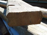 Laftestokk av flatskåret halvkløyving. Fra et nedrevet hus stabla ved saga i Sagvika på Stabblandet. Foto: Olve Utne (2008).