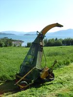 Fôrhaustar i Halsbogen. Foto: Olve Utne, 2008.