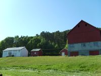 Tunet i Halsbogen. Foto: Olve Utne, 2008.