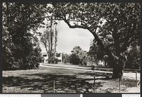 215. 4799. Fredrikstad. Lykkeberg. - no-nb digifoto 20151009 00123 bldsa PK06435.jpg