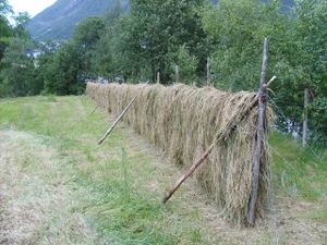 4833 hesje på Innersetra på Tustna.jpg