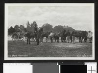 67. 5. Fra Østre Fredriksstad - no-nb digifoto 20140903 00040 blds 06912.jpg