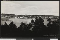 29. 5249 Soon - no-nb digifoto 20150904 00033 bldsa PK24342.jpg