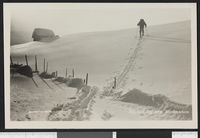 11. 545 Ved Elgstøen, Nordmarken - no-nb digifoto 20151020 00442 bldsa PK04805.jpg