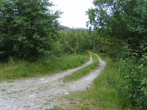 5831 Gullstein ferjekai vegen mot kirkja.jpg