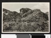 27. 60 Roald Amundsens profil Skarsaasen, Brønnøysund - no-nb digifoto 20160525 00072 blds 06976.jpg