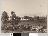 97. 610. Molde, Udsigt mod Romsdalsfjeldene - no-nb digifoto 20151109 00168 bldsa AL0610.jpg