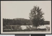 38. 61 Kongsvinger - no-nb digifoto 20150803 00240 bldsa PK28472.jpg