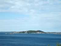 9. 6336 Heringsoeya.jpg