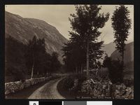 135. 701. Romsdalen, Parti mellem Ormeim og Fladmark - no-nb digifoto 20151109 00069 bldsa AL0701.jpg