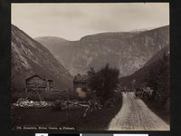 199. 705. Romsdalen, Mellem Ormeim og Fladmark - no-nb digifoto 20151109 00132 bldsa AL0705.jpg