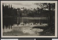 98. 711 Ved Tjernsrud, Bærumsbanen - no-nb digifoto 20150819 00232 bldsa PK22435.jpg