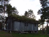 11. 7249 RM Jobua fraa Daugstadsetra.jpg