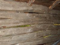 169. 7268 Langoyloa fraa Seter i Eikesdalen.jpg