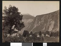 162. 729. Romsdalen, Parti ved Syltebø i Erisfjord - no-nb digifoto 20151109 00080 bldsa AL0729.jpg