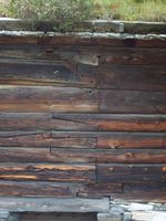 19. 7314 RM Hammervolloea.jpg