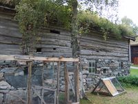 146. 7316 RM Hammervolloea.jpg