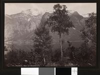 166. 738. Romsdalen, Parti ved Eikisdalsvandet - no-nb digifoto 20151109 00086 bldsa AL0738.jpg