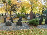 Foto: Olve Utne (2008).