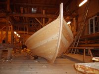 Romsdalsgeit under bygging av Øystein Elgvasslien i Husasnotra. Foto: Olve Utne (2011).