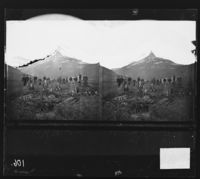 22. 77 ny. Solvaagtind set fra Junkerdal Gaard. Stereoskop - NB bldsa OTO0106 A.jpg