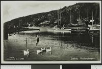 114. 798 Drøbak. Vindfangbugten - no-nb digifoto 20150820 00314 bldsa PK23129.jpg