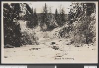 76. 7 "Mesna" en vinterdag - no-nb digifoto 20150814 00022 bldsa PK25978.jpg