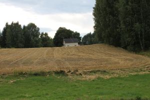 82211095-1 Dunderud.jpg