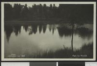 170. 825 Parti fra Nitedal - no-nb digifoto 20150825 00090 bldsa PK23755.jpg