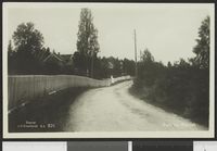 169. 826 Parti fra Nitedal - no-nb digifoto 20150825 00092 bldsa PK23760.jpg