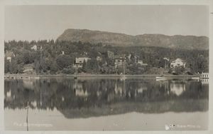 829 Fra Blommenholm - no-nb digifoto 20150818 00040 bldsa PK22386.jpg