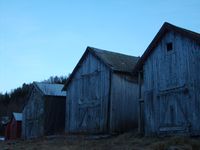 31. 8834 naustrekkje ved Fjelnsetneset ved Vinjeoera.jpg