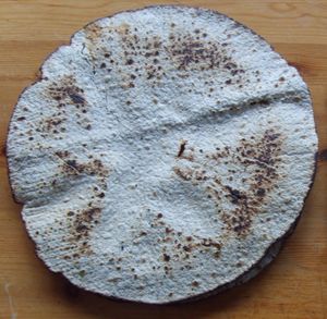 9018cr massa sjemura.jpg