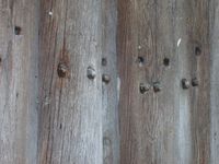 81. 9097 Haltbakken.jpg