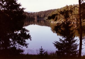 948.26 Motiver fra Fiskum (oeb-201629).jpg