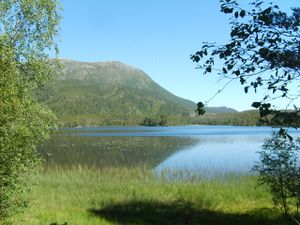 9544 Bjoennavatnet.jpg