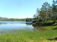 Foto: Olve Utne (2009).