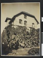 6. 9546. Aulestad - no-nb digifoto 20150127 00034 blds 01638.jpg