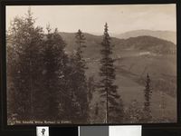 57. 995. Soknedal, Mellem Bjerkager og Austberg - no-nb digifoto 20160104 00052 bldsa AL0995.jpg