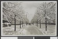 150. 9983 Hamar Stangeveien - no-nb digifoto 20150720 00326 bldsa PK25646.jpg