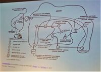 ARPANET, PRNET og SATNET 1977. Skjematisk. Kjeller og NORSAR til høyre.