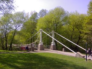 Aamodt bro-3.jpg