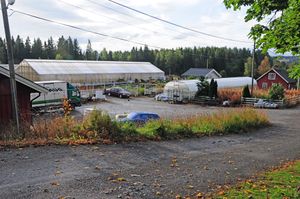 Aashaug Gjovik 1.jpg