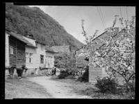 Agatunet - no-nb digifoto 20150218 00163 NB MIT FNR 17255.jpg