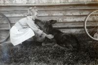 Dattera Agnethe (f. 1941) med en elgkalv, sommeren 1949.