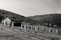 21. Aksel Pedersen`s hus, Misvær, Nordland - Riksantikvaren-T411 01 0011.jpg